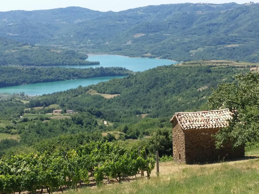 Al Merlo Olivo, Rural Istrian House Buje Zewnętrze zdjęcie