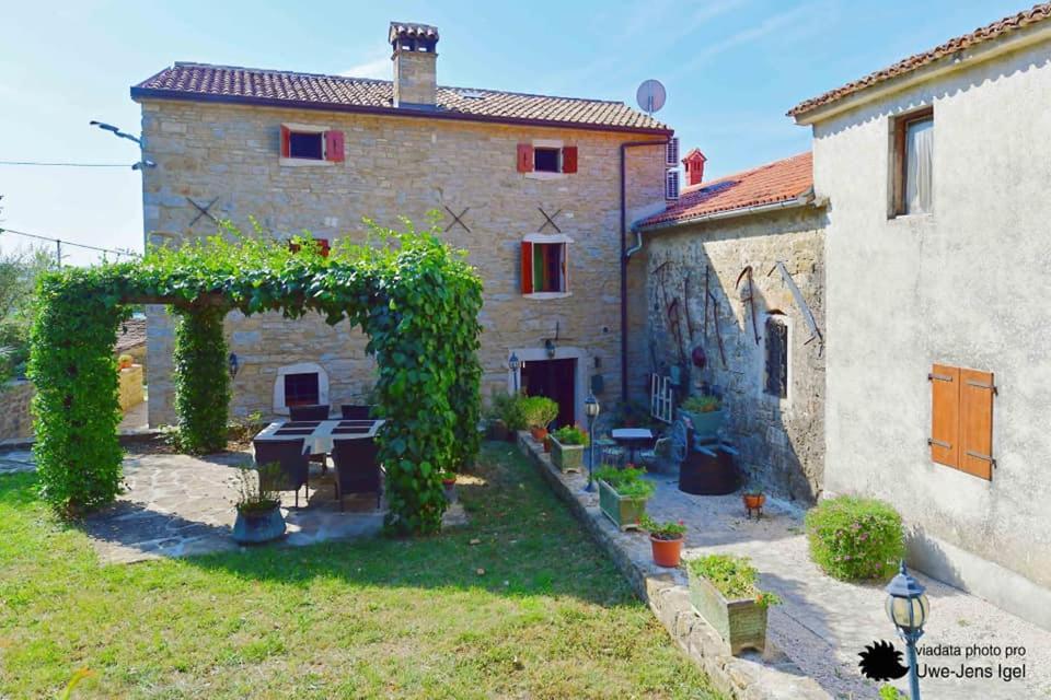 Al Merlo Olivo, Rural Istrian House Buje Zewnętrze zdjęcie