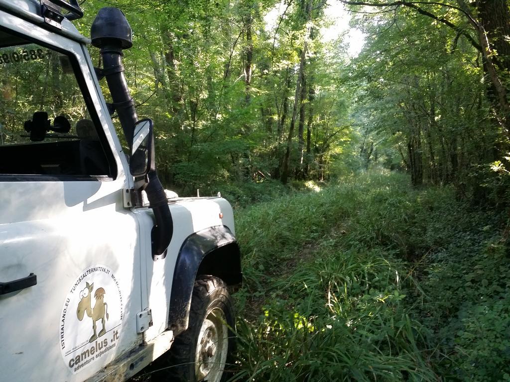 Al Merlo Olivo, Rural Istrian House Buje Zewnętrze zdjęcie