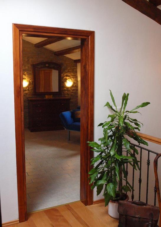 Al Merlo Olivo, Rural Istrian House Buje Pokój zdjęcie
