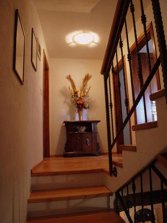 Al Merlo Olivo, Rural Istrian House Buje Zewnętrze zdjęcie
