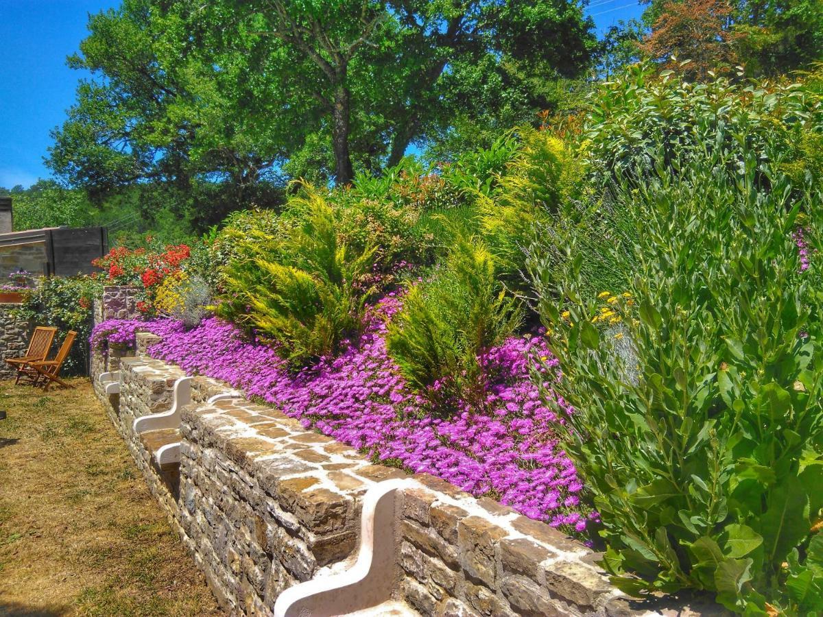 Al Merlo Olivo, Rural Istrian House Buje Zewnętrze zdjęcie
