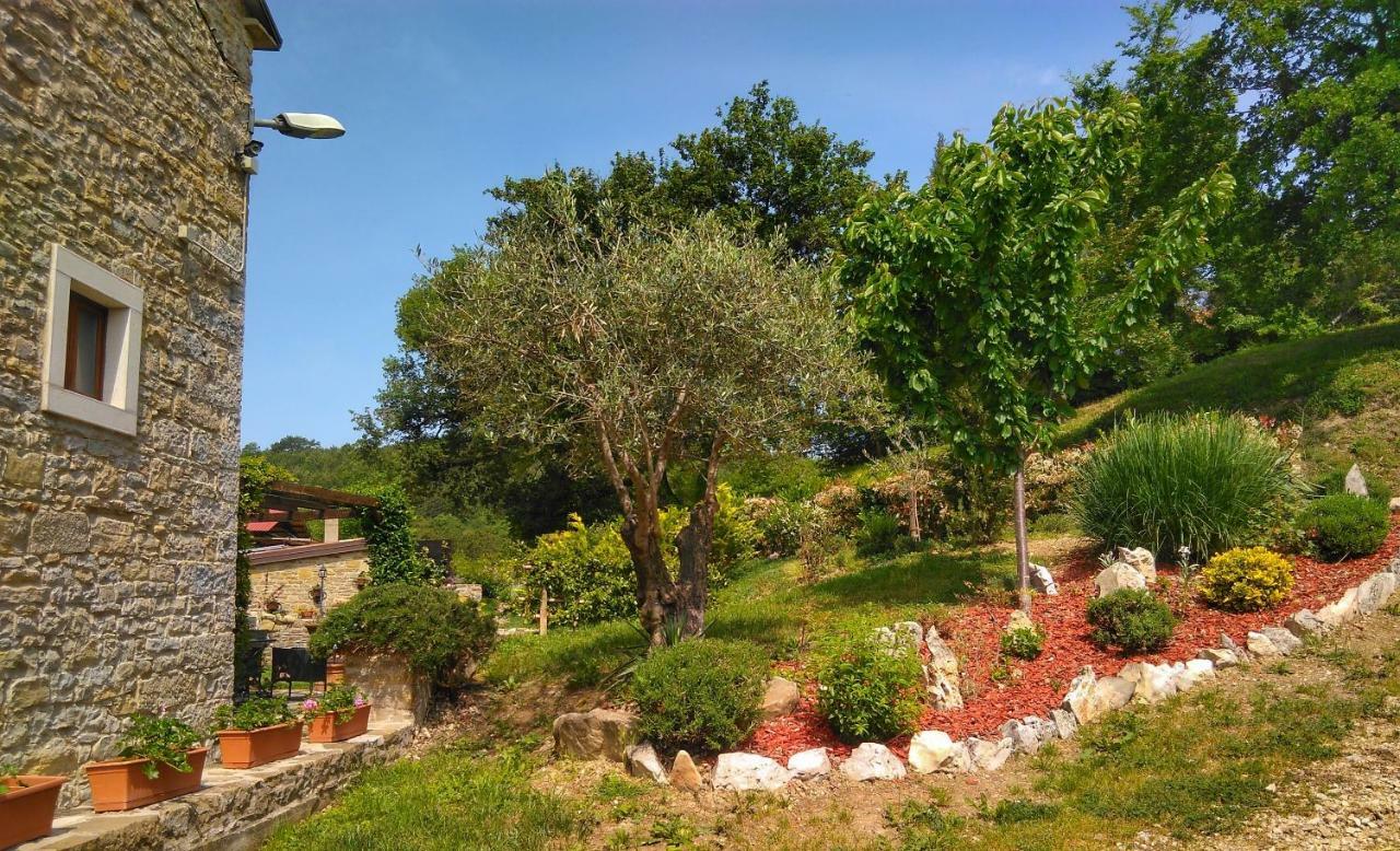 Al Merlo Olivo, Rural Istrian House Buje Zewnętrze zdjęcie