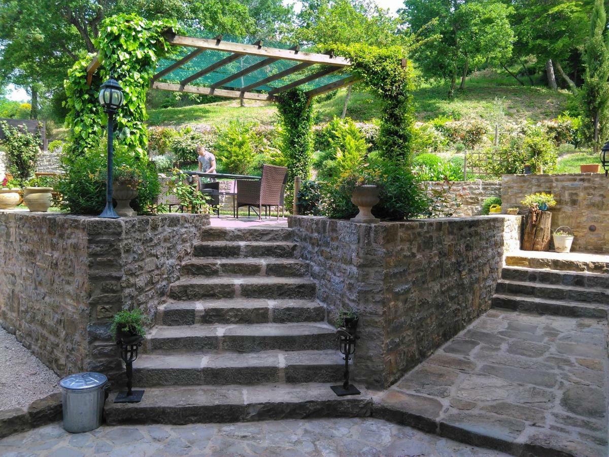 Al Merlo Olivo, Rural Istrian House Buje Zewnętrze zdjęcie