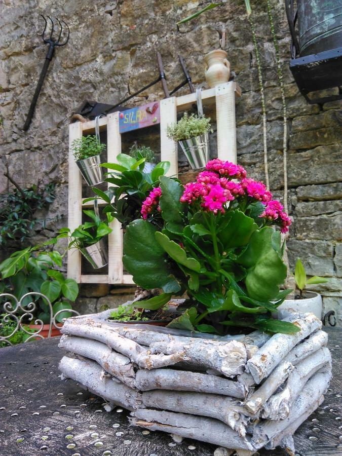 Al Merlo Olivo, Rural Istrian House Buje Zewnętrze zdjęcie