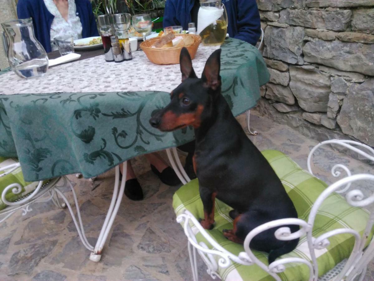 Al Merlo Olivo, Rural Istrian House Buje Zewnętrze zdjęcie