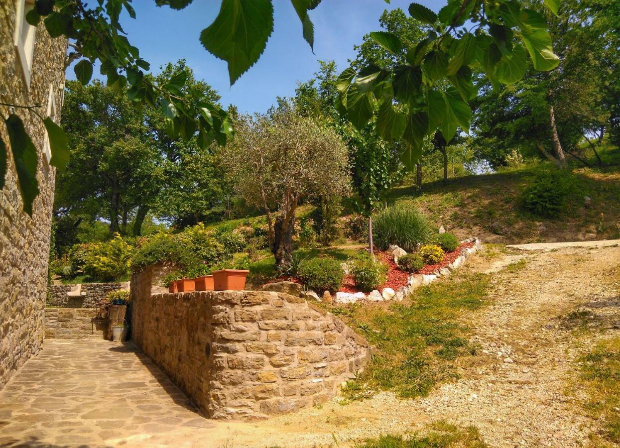 Al Merlo Olivo, Rural Istrian House Buje Zewnętrze zdjęcie